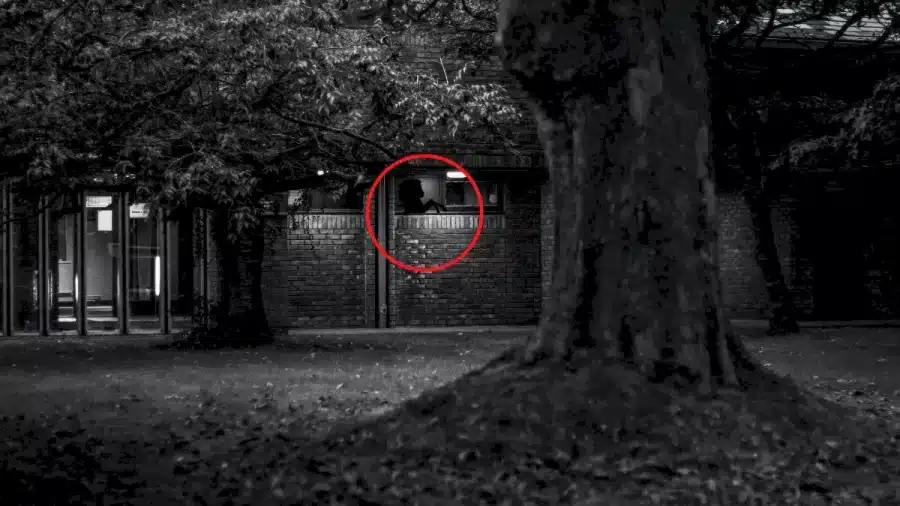 Illusioni ottiche: Cosa vedete nelle immagini di persone o animali?