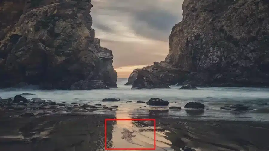 Test di visione per illusioni ottiche: Solo una persona con un occhio d'aquila può individuare il coccodrillo in questa foto