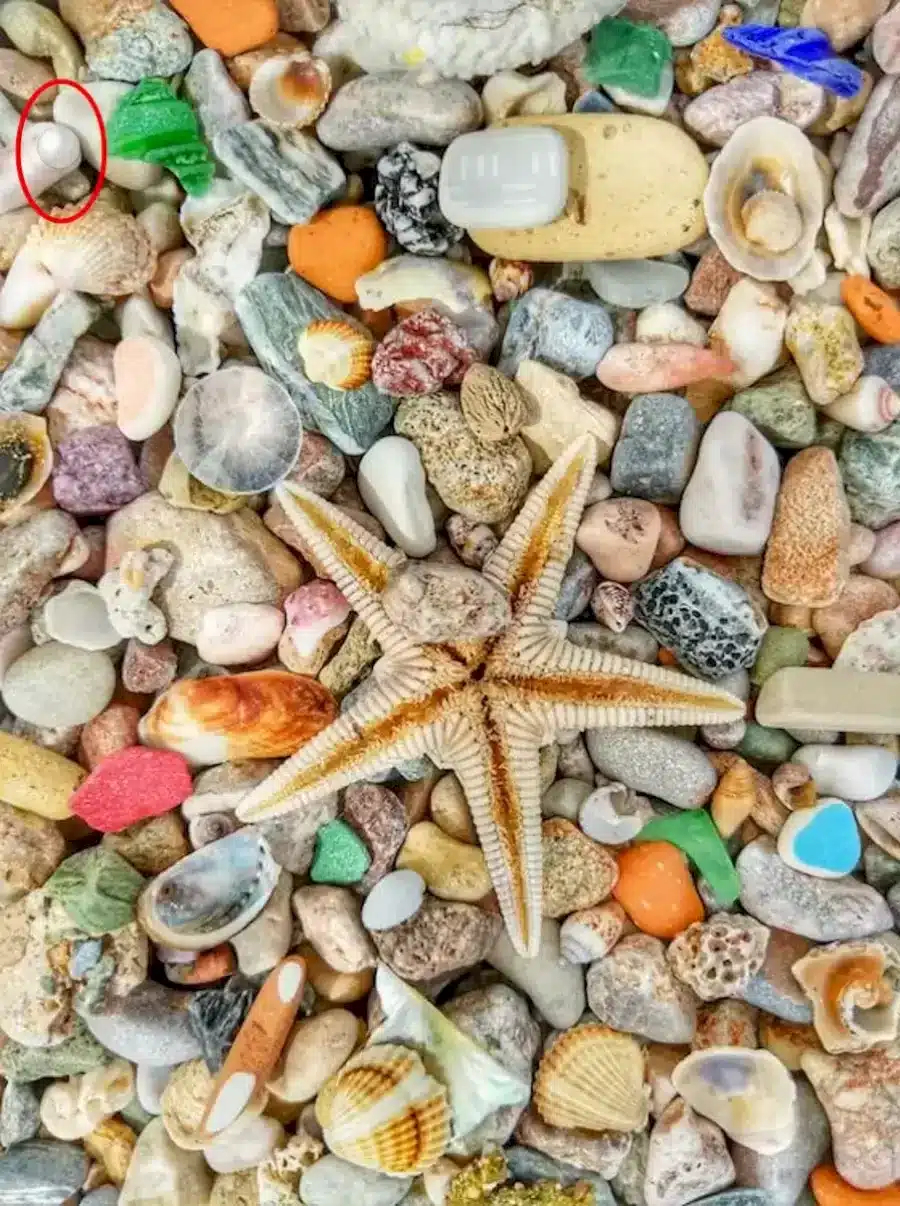 Illusione ottica: Trova la perla tra questi ciottoli e stelle marine
