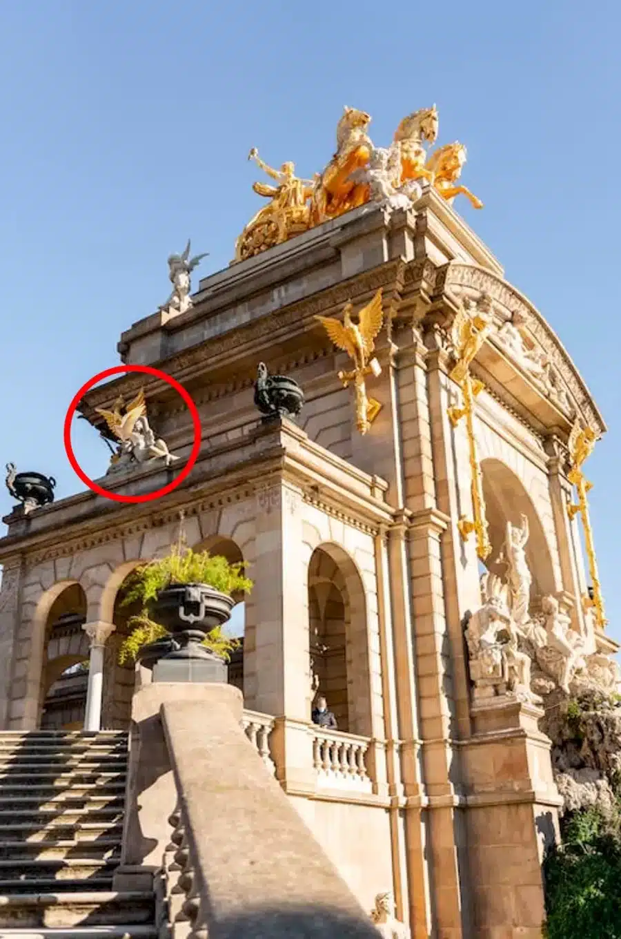 Test di visione con illusione ottica: Trovare il piccione in questa immagine è un'operazione confusa. Volete provare?