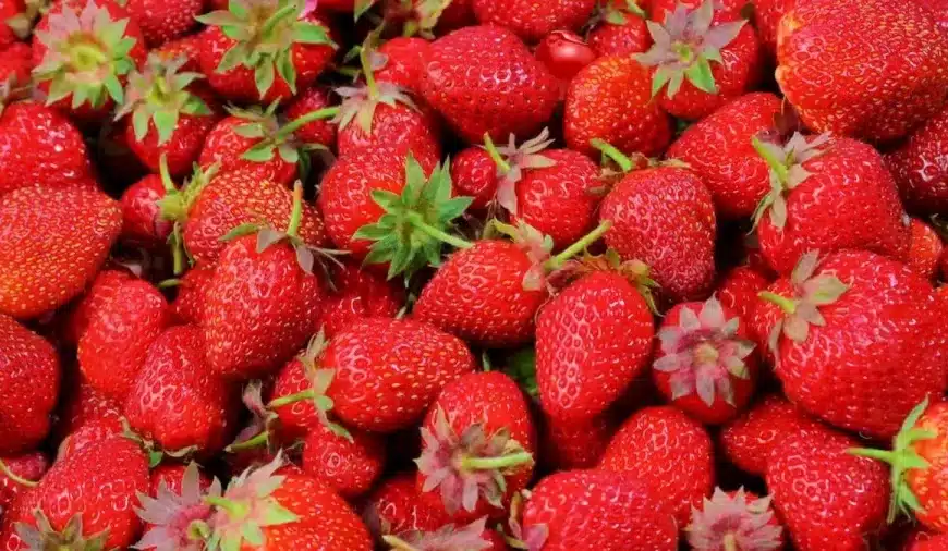 Test della vista con illusione ottica: Tra queste fragole si nasconde una ciliegia. Riuscite a trovarla in meno di 15 secondi?