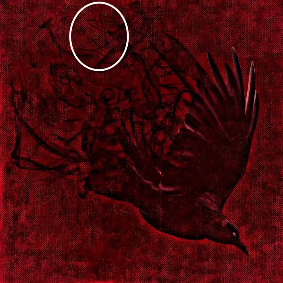 Test del QI sull'illusione ottica: Questo corvo è la reincarnazione di un umano. Vedete il suo volto in questa foto?