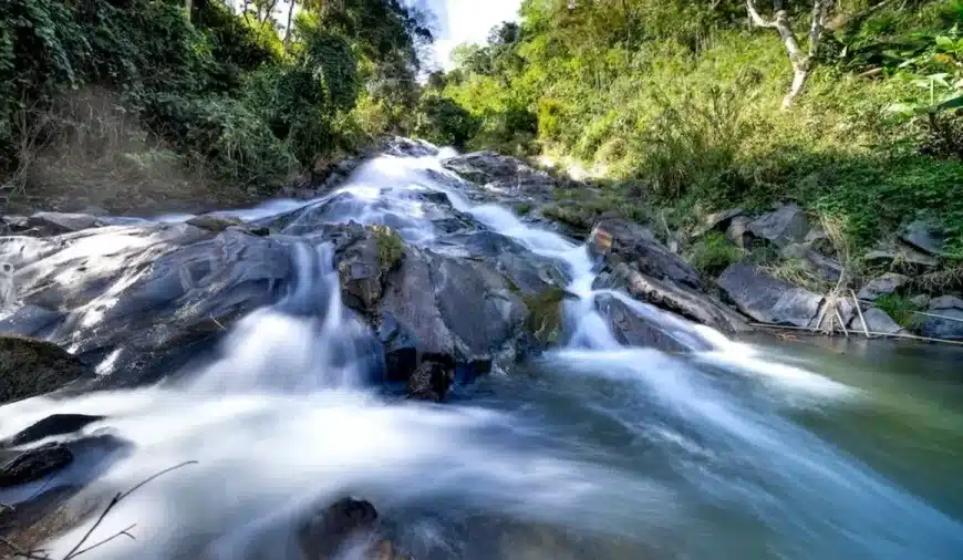 Test di illusione ottica: hai gli occhi dell’aquila se riesci a individuare il langur in questo muro d’acqua in meno di 20 secondi