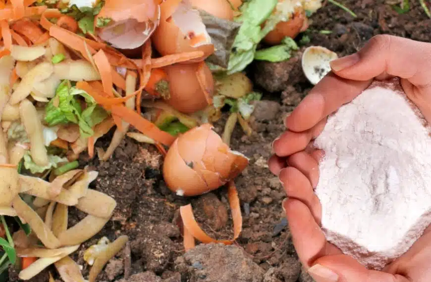 Scoperta sorprendente: come il bicarbonato di sodio può rivoluzionare il vostro compost