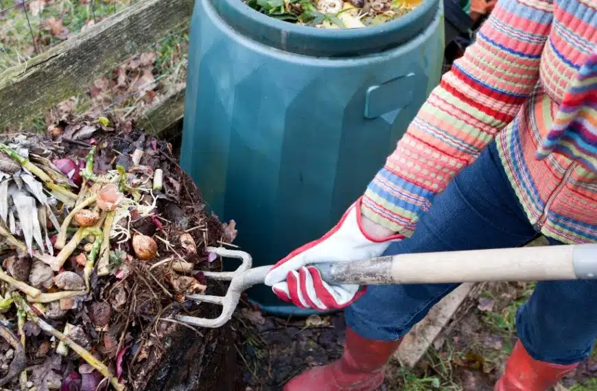 Compostaggio o differenziazione dei rifiuti organici: cosa dovrete fare davvero nel 2024?