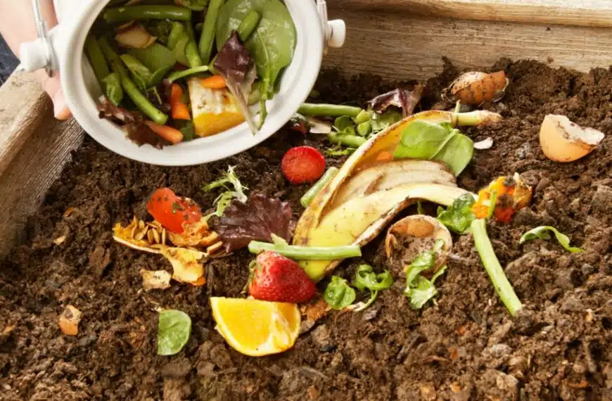 Consigli per il giardinaggio: escludete i rifiuti dal compost per un giardino rigoglioso