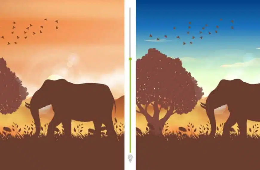Test visivo: riuscite a individuare la differenza tra queste due immagini?