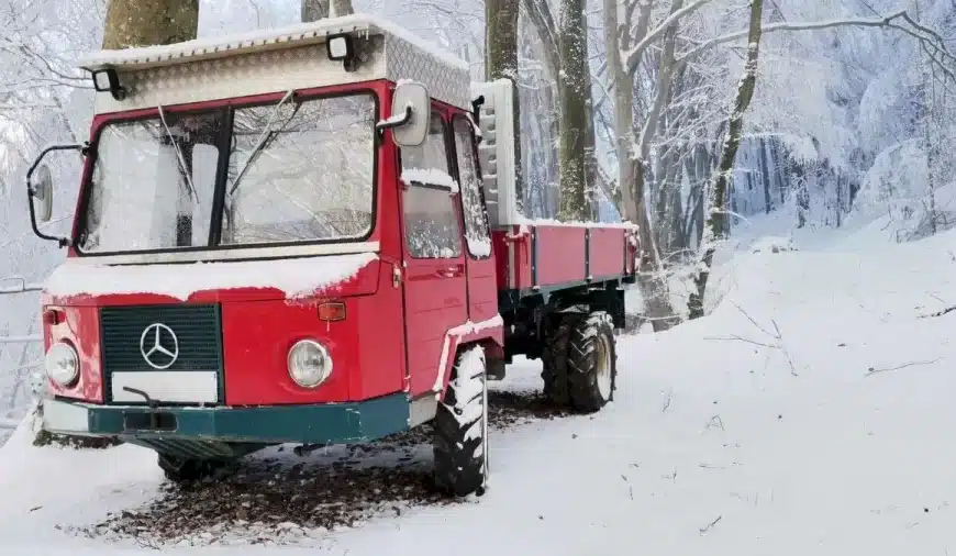 Illusione ottica: Riesci a trovare la volpe delle nevi nascosta entro 10 secondi? Spiegazione e soluzione dell’illusione ottica della volpe di neve nascosta