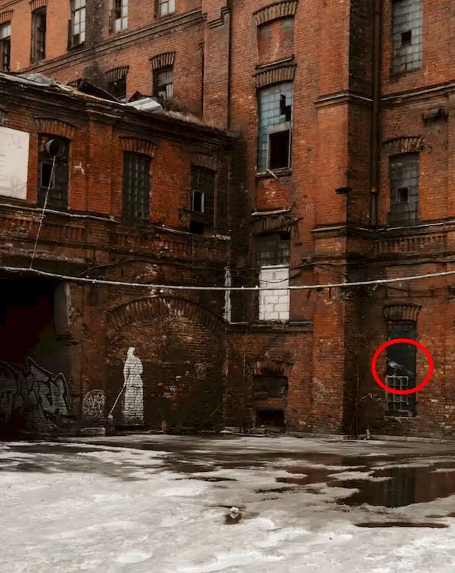Illusione ottica di ricerca del corvo: Trova il corvo qui in 15 secondi