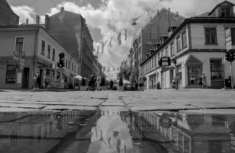 Illusione ottica del test del QI: Riesci a vedere il corvo in questa strada trafficata?