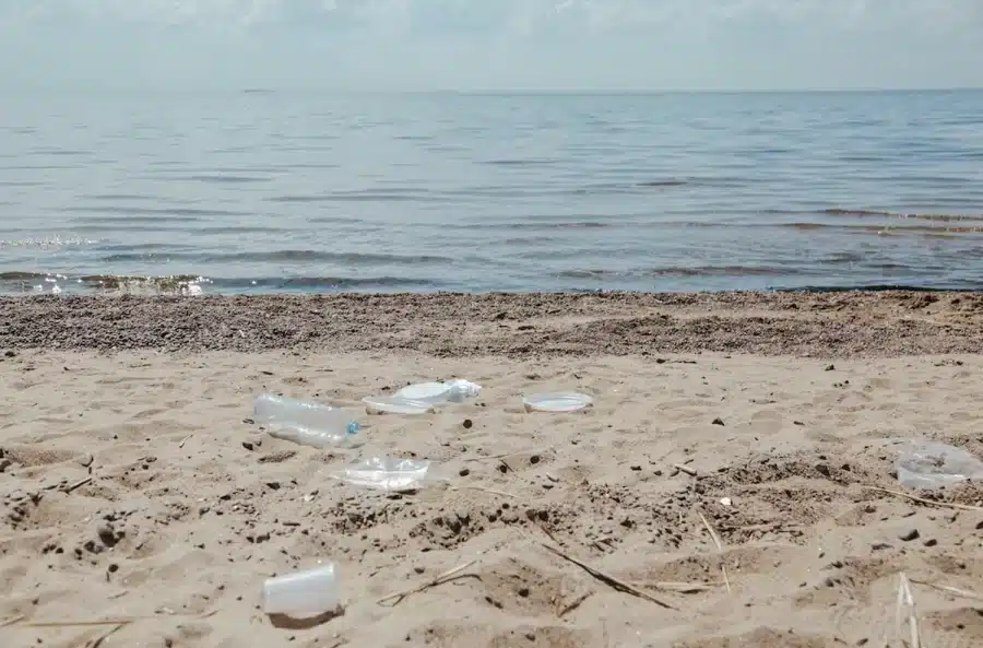 Caccia all'illusione ottica: Quanto tempo hai impiegato per vedere la conchiglia su questa spiaggia?