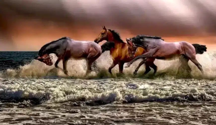 Riesci a trovare l’altro animale in questa immagine entro 12 secondi? Spiegazione e soluzione dell’illusione ottica