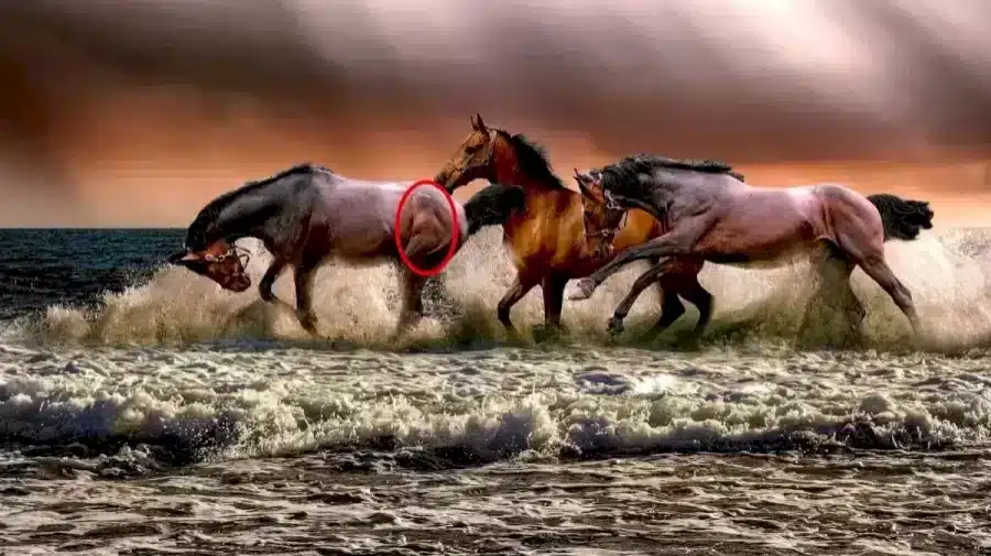 Riesci a trovare gli altri animali in questa immagine in 12 secondi? Illusioni ottiche Spiegazioni e soluzioni