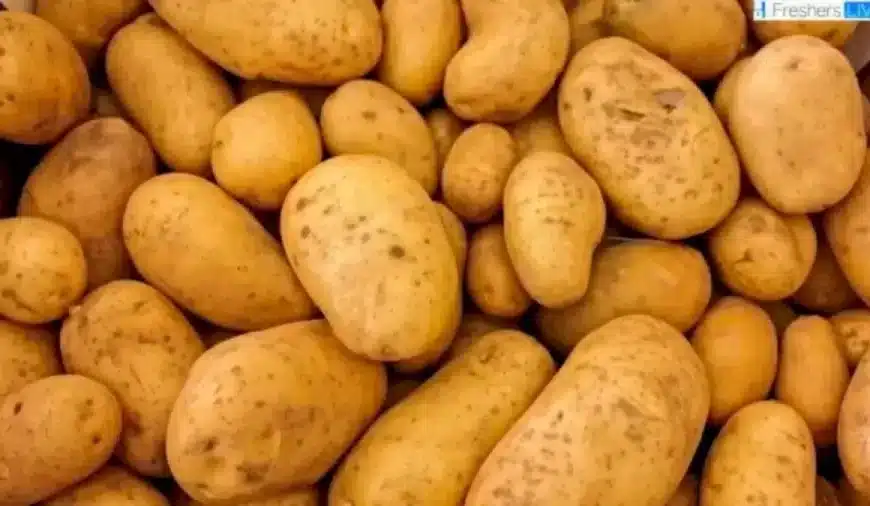 Riesci a trovare un ago tra le patate entro 12 secondi? Spiegazione e soluzione dell’illusione ottica