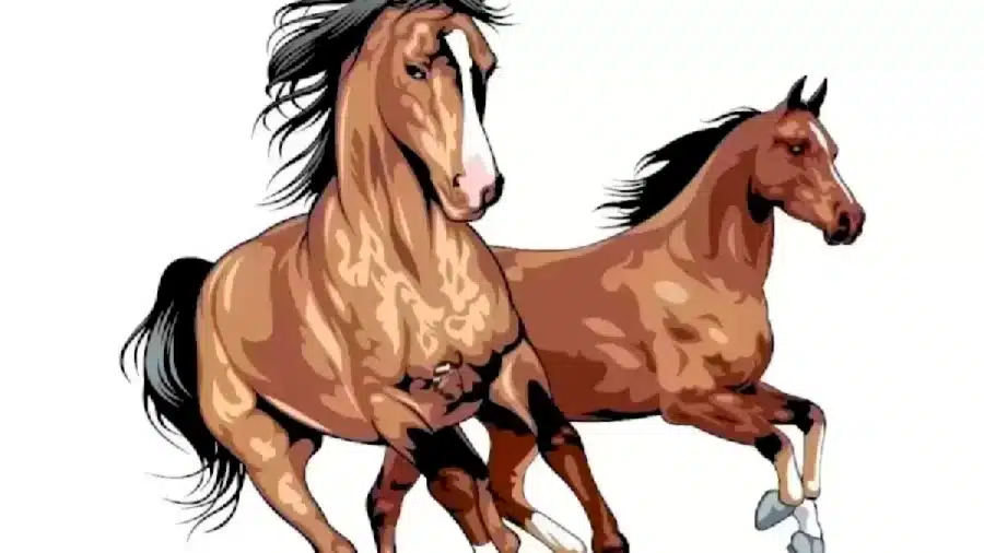 Riesci a trovare il cavaliere nascosto in questa immagine? Illusioni ottiche Spiegazioni e soluzioni