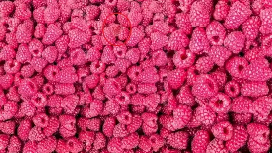 Sfida di illusione ottica: Riesci a individuare il lampone rosa tra i frutti in 12 secondi?
