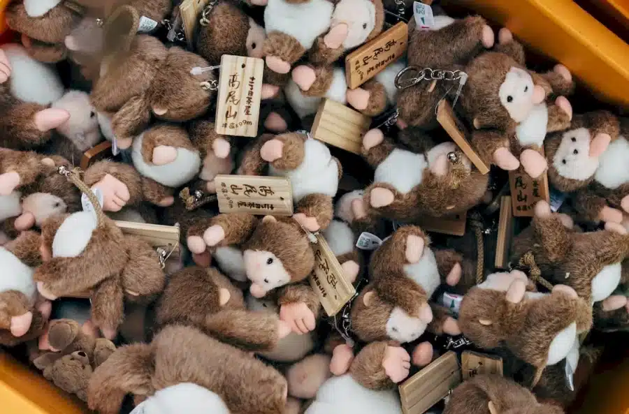 Test di illusione ottica: in questa pila di animali di peluche, cerca di trovare l'orsacchiotto nascosto in 15 secondi