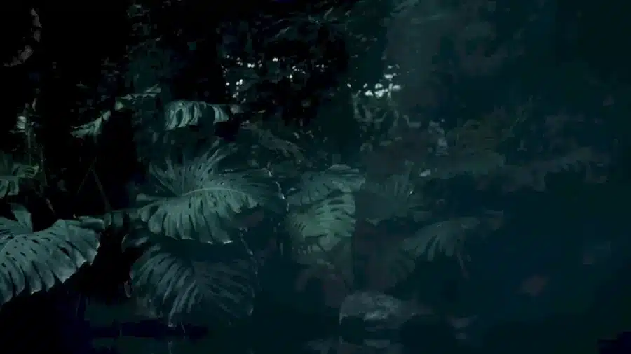 Test di visione dell'illusione ottica: Riesci a trovare il pipistrello in questa immagine in 5 secondi?