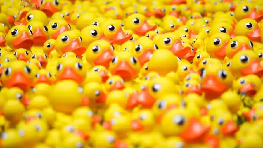 Test di visione con illusione ottica: Riesci a trovare il pesce nascosto in 15 secondi? Illusione ottica del pesce nascosto Spiegazione e soluzione