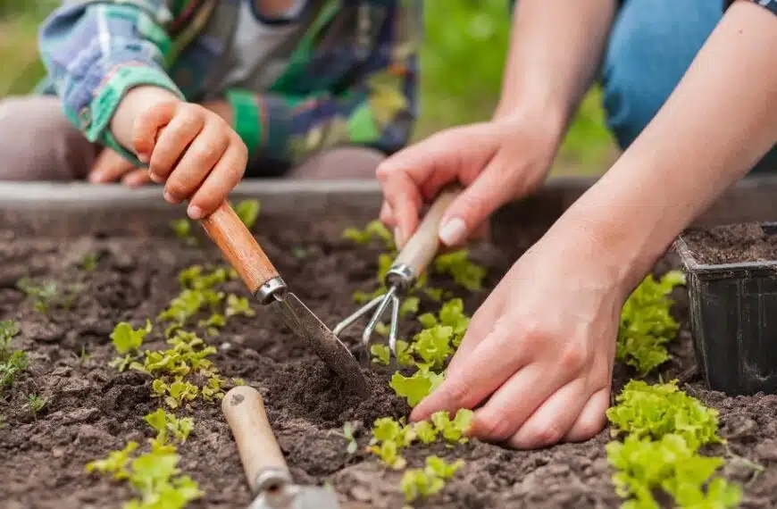 Quali lavori posso fare nell’orto a marzo?