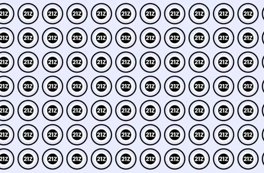 Test visivo: riuscite a trovare il numero 212 in questa immagine in meno di 10 secondi?