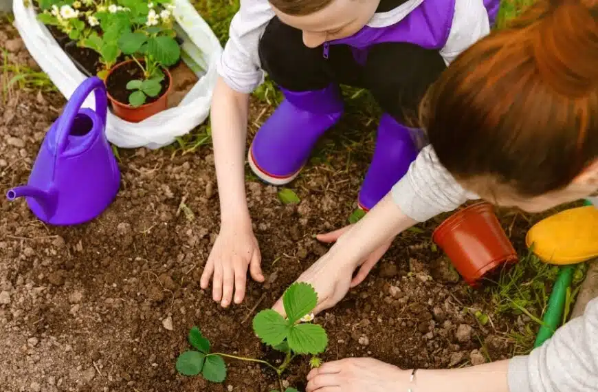 Consigli pratici: quali piante evitare di piantare vicino alle piante di fragole