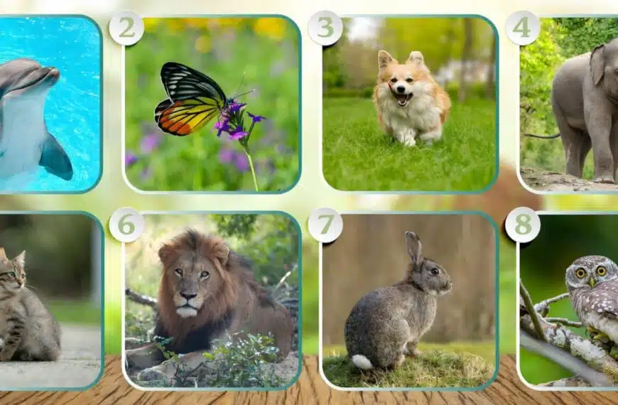 Test della personalità: rivelate il vostro dono spirituale unico selezionando uno degli 8 animali mistici!