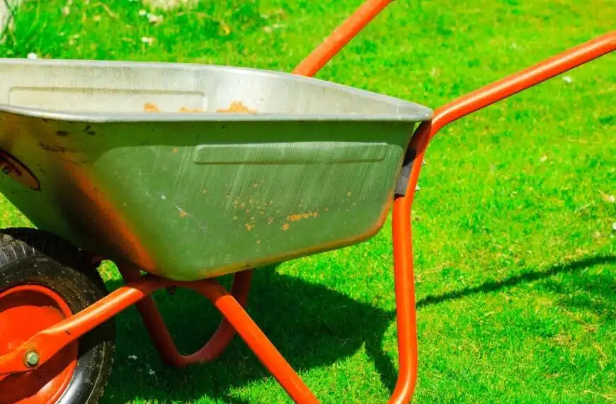 Perché aggiungere sabbia al giardino? Consigli pratici per massimizzare i benefici per il vostro prato