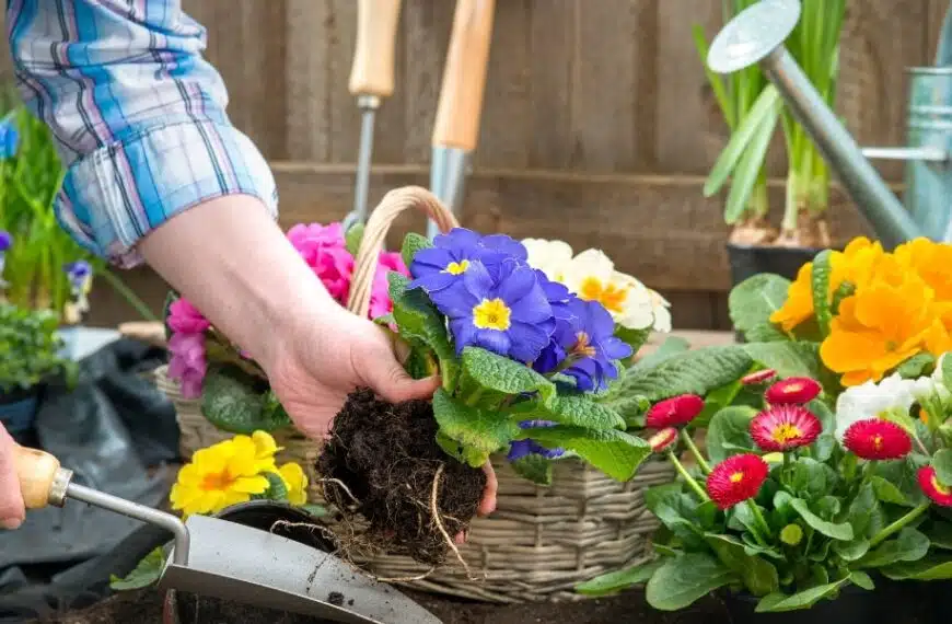 Prepararsi alla primavera: scoprite 5 fiori da piantare a marzo per abbellire il giardino