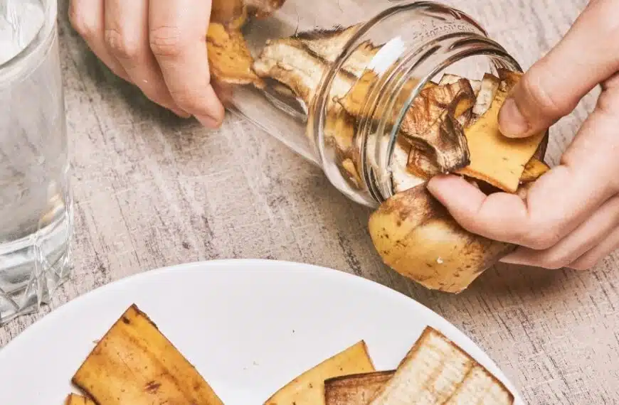 Coltivate un giardino rigoglioso con la purina di banana: il vostro alleato naturale per piante sane