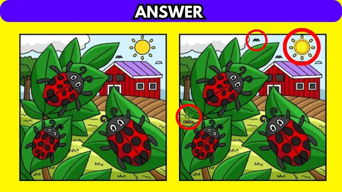 Illusioni ottiche: se hai la vista acuta, trova 3 differenze in 10 secondi