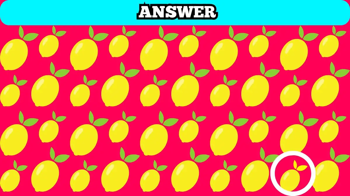 Illusioni ottiche: se hai la vista acuta, trova 3 differenze in 10 secondi