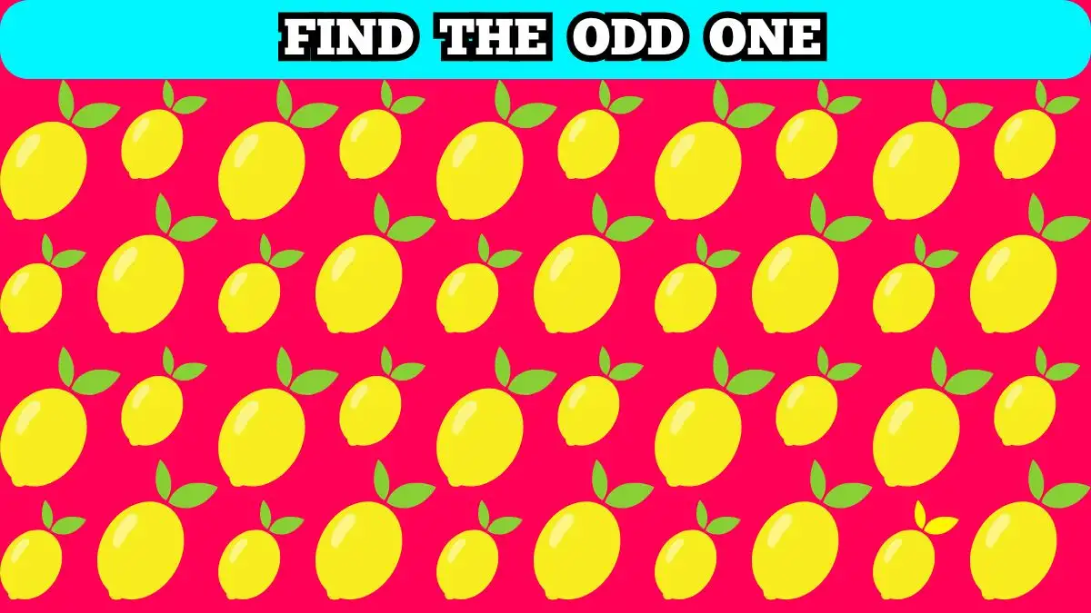 Illusioni ottiche: se hai la vista acuta, trova 3 differenze in 10 secondi
