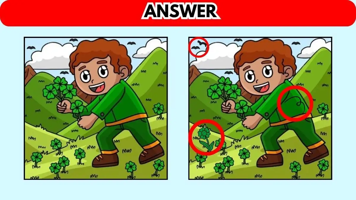 Illusione ottica: guarda l'immagine e individua 3 differenze in 8 secondi