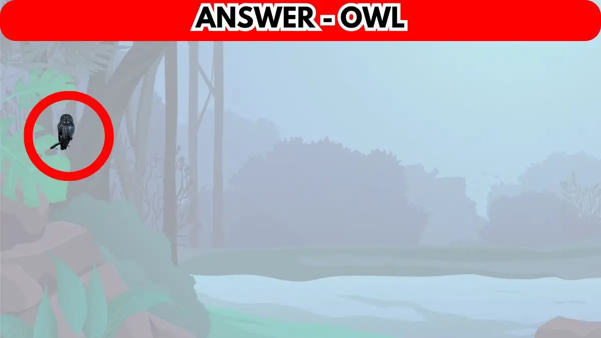 Illusione ottica Trova le differenze: solo un genio può individuare 3 differenze in questo gioco in 12 secondi