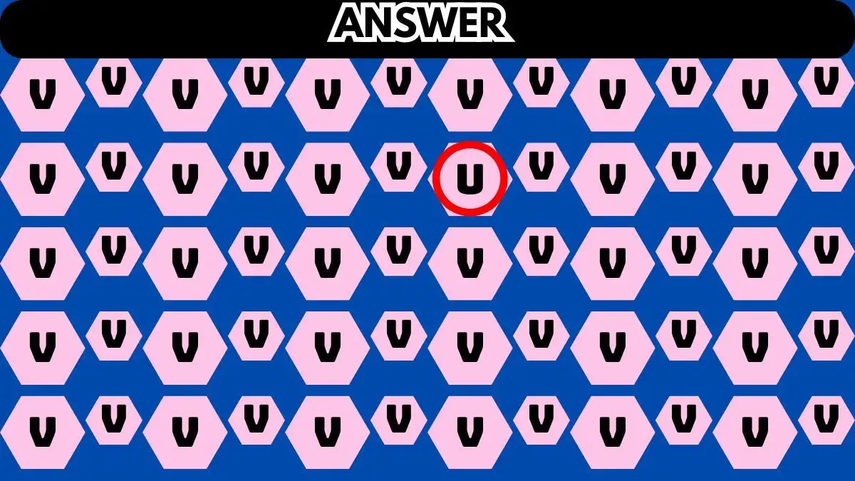 Metti alla prova la tua vista con un'illusione ottica: solo i più intelligenti possono trovare la parola 