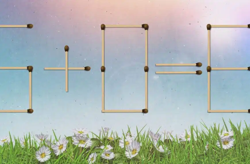 Puzzle matematico: metti alla prova il tuo quoziente intellettivo aggiungendo solo 1 partita per risolvere questo puzzle in meno di 15 secondi!