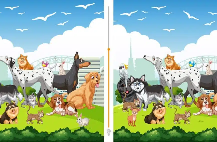 Sfida visiva: riesci a individuare le 10 differenze in meno di 60 secondi? Metti alla prova il tuo senso di osservazione!
