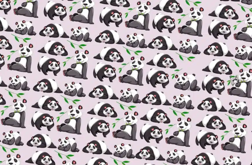 Test visivo: riuscite a individuare l’intruso tra i panda dell’immagine in meno di 30 secondi?