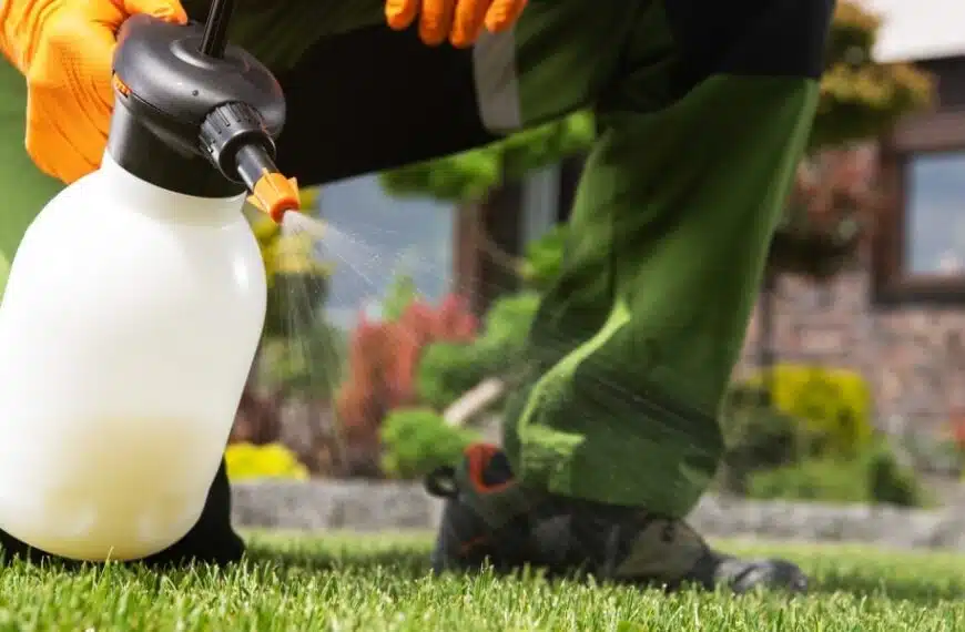 Scoprite come preparare un efficace diserbante fatto in casa utilizzando il bicarbonato e altri ingredienti naturali!