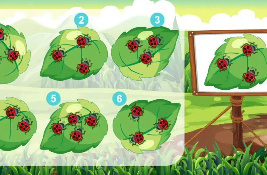 Rompicapo: scoprite in 10 secondi quale di questi fogli è identico all’esempio.