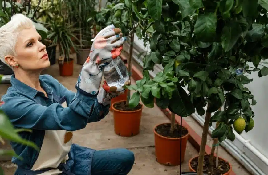 Le 4 cattive abitudini da evitare per proteggere le piante secondo le ultime tendenze del giardinaggio!
