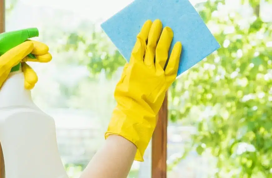 Scoprite un ottimo consiglio per la pulizia dei vetri: risultati perfetti, efficienti e senza striature