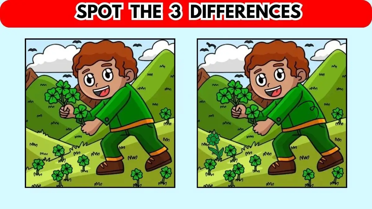 Illusione ottica: guarda l'immagine e individua 3 differenze in 8 secondi