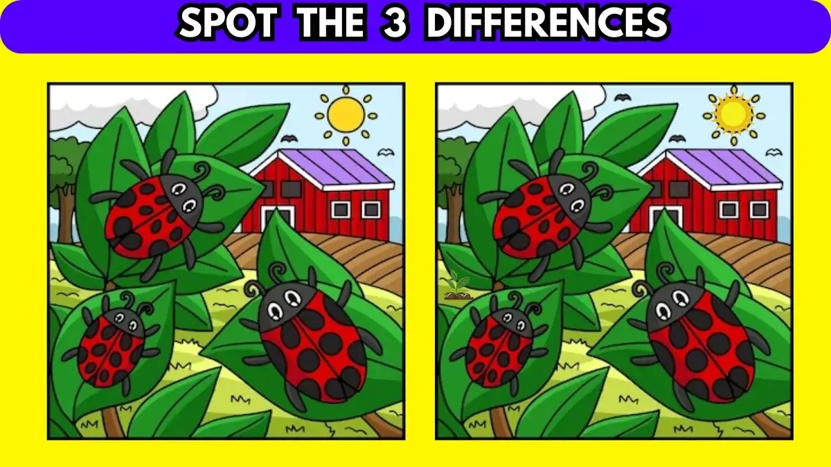Illusioni ottiche: se hai la vista acuta, trova 3 differenze in 10 secondi
