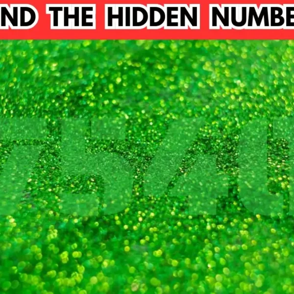 Test della visione con illusione ottica: se hai gli occhi d’aquila trova il numero nascosto in 10 secondi