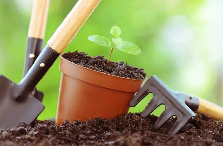 Consigli per il giardinaggio: scoprite i lavori essenziali da iniziare a maggio