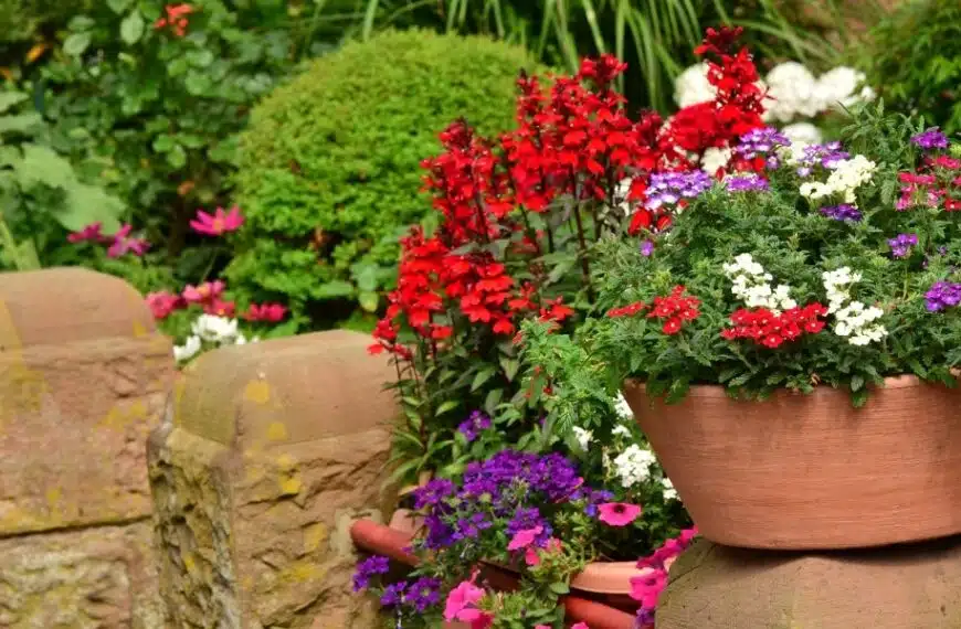 I nostri consigli per trovare il fiore da ombra perfetto per abbellire il vostro giardino per tutta l’estate!