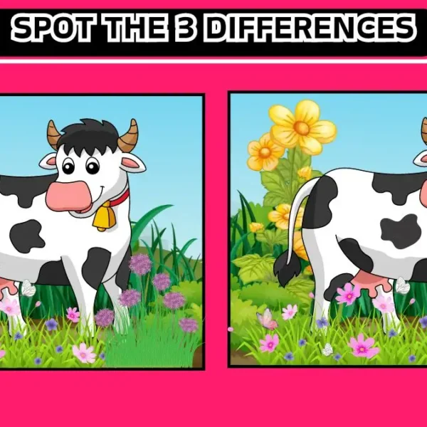 Illusione ottica: riesci a individuare 3 differenze in 15 secondi?