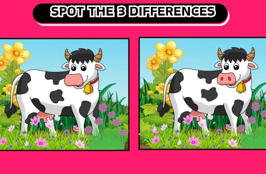 Illusione ottica: riesci a individuare 3 differenze in 15 secondi?